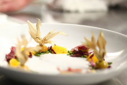 Jellyfish Restaurant - New South Wales Tourism  0