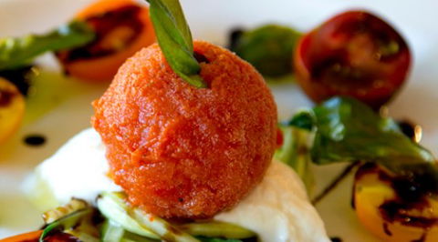 Lyrebird Restaurant - New South Wales Tourism  0