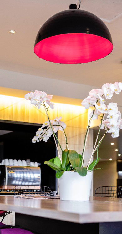 MRepublic Restaurant, Bar And Lounge - New South Wales Tourism  4