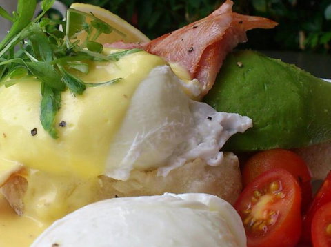 Vroom Bistro - New South Wales Tourism  4