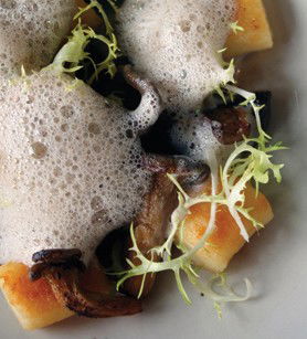 Mondo Organics Restaurant - New South Wales Tourism  3