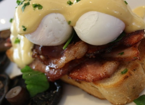 Raphael's On Brighton - New South Wales Tourism  2