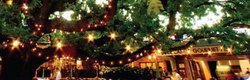 The Oaks - New South Wales Tourism  0