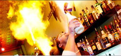 Universal Bar - New South Wales Tourism  0