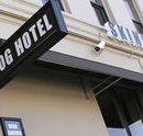 Skinny Dog Hotel - New South Wales Tourism 