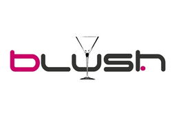 Blush Night Club - New South Wales Tourism  0