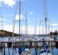 Oyster Cove Inn - New South Wales Tourism 