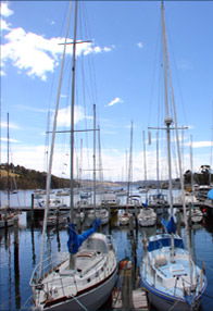 Oyster Cove Inn - New South Wales Tourism  0