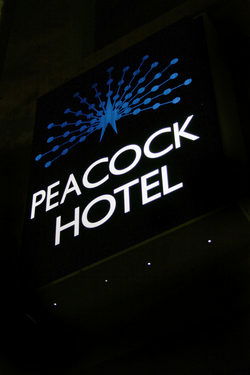 Peacock Inn Hotel - New South Wales Tourism  0