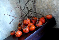 Von Haus - New South Wales Tourism  1