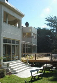 Oyster Cove Inn - New South Wales Tourism  1