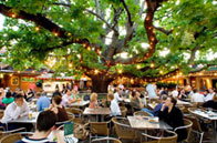 The Oaks - New South Wales Tourism  2