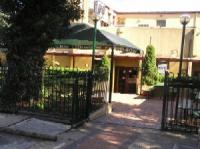 The Pine Inn - New South Wales Tourism  2