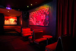 Geisha Bar - New South Wales Tourism  2