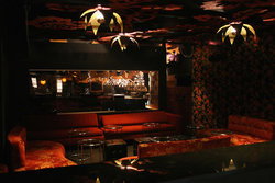 Seven Nightclub - New South Wales Tourism  2