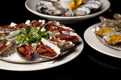 PJ O'Briens Irish Pub - New South Wales Tourism  2