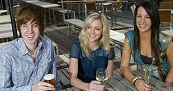 Lady Franklin Tavern - New South Wales Tourism  3