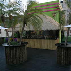 The Carlton  - New South Wales Tourism  3