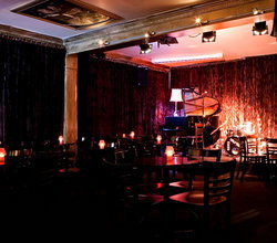 Paris Cat - New South Wales Tourism  3