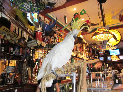 A Friend In Hand - New South Wales Tourism  0