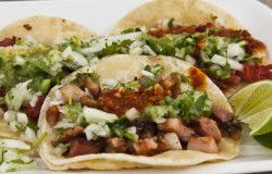 Hot Tamale - New South Wales Tourism  0