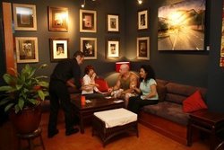 Vibe Bar And Restaurant - New South Wales Tourism  0