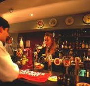 Criterion Hotel - Oak  Ivy Cellar Bar - New South Wales Tourism 