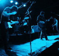 Fly By Night Musicians Club - New South Wales Tourism 