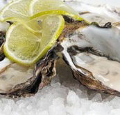 Platform Restaurant and Bar - New South Wales Tourism 