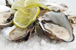 Platform Restaurant And Bar - New South Wales Tourism  0
