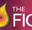 Naked Fig - New South Wales Tourism 