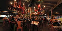 Clancys Fish Pub - City Beach - New South Wales Tourism  0