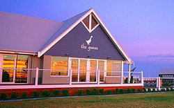 The Goose - New South Wales Tourism  0