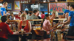 Hogs Breath - Northbridge - New South Wales Tourism  0