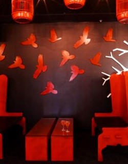 Soho Bar And Lounge - New South Wales Tourism  0