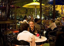 Treehouse Hotel - New South Wales Tourism  0