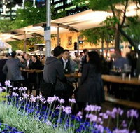 Quay Bar - New South Wales Tourism 