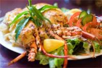 Campsie Hotel - New South Wales Tourism  1