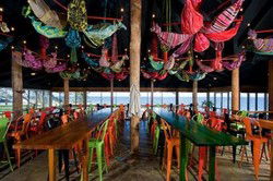 Clancys Fish Pub - City Beach - New South Wales Tourism  1