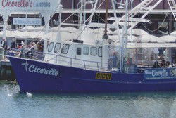 Cicerellos - New South Wales Tourism  1