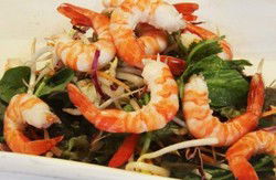 Nicholsons Bar & Grill - New South Wales Tourism  1