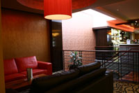 Camperdown Hotel - New South Wales Tourism  2
