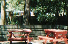 The Hawthorn Hotel - New South Wales Tourism  2