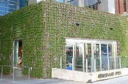 Greenhouse - New South Wales Tourism  2