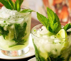 Coco Cubano - Darlinghurst - New South Wales Tourism  2