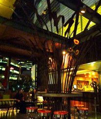 Treehouse Hotel - New South Wales Tourism  2
