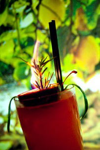 La Scala On Jersey - New South Wales Tourism  2