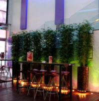 Leichhardt Hotel - New South Wales Tourism  3