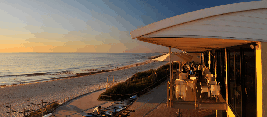 Blue Duck - New South Wales Tourism 