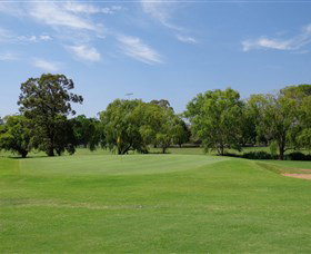 Singleton Golf Club - New South Wales Tourism  1